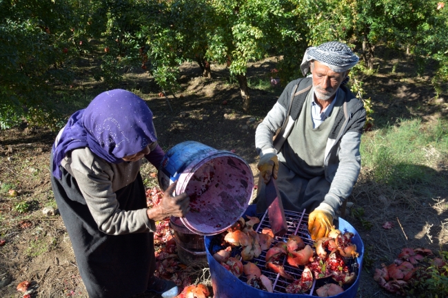 Nar taneleri geleneksel yöntemlerle "nar ekşisi"ne dönüşüyor