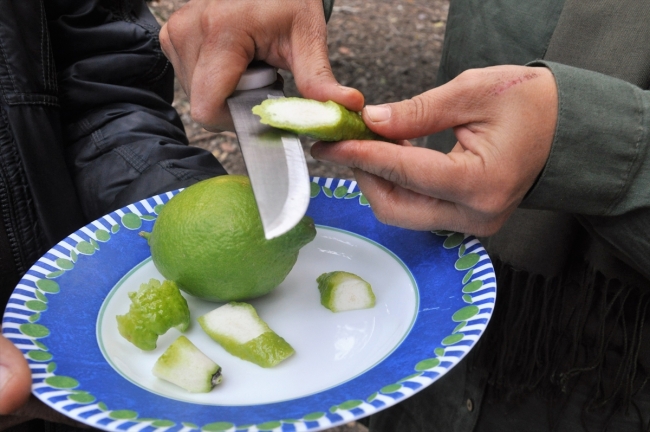 Hatay'da biber görünümlü limonlar dikkat çekiyor