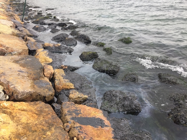 İzmit Körfezi'nde deniz kirliliği