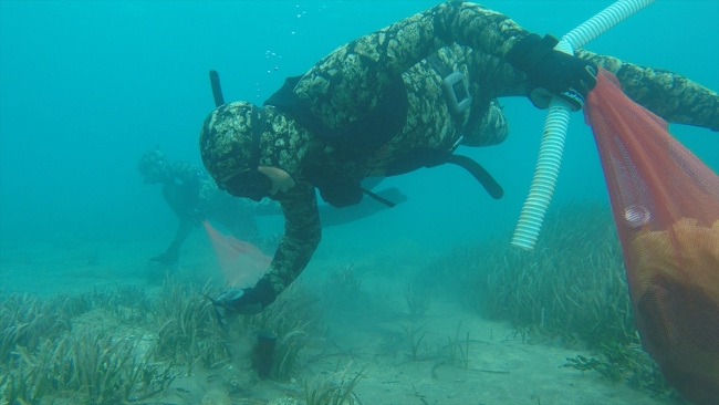 Bodrum'da deniz dibinden çıkanlar şaşkınlık yarattı