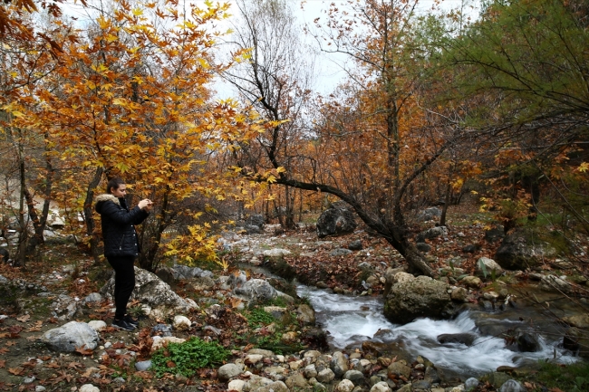 Doğu Akdeniz'de sonbahar renkleri