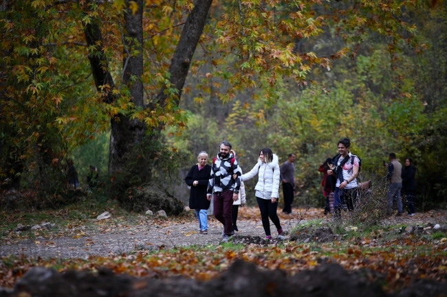 Doğu Akdeniz'de sonbahar renkleri