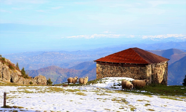 Doğal güzellikleriyle öne çıkan Hıdırnebi Yaylası turizme kazandırılıyor