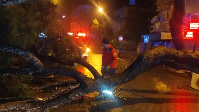 Edremit Körfezi'nde kuvvetli yağış