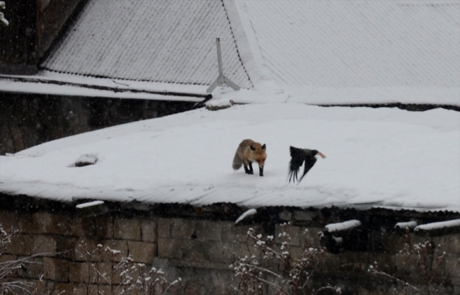 Meteorolojiden 7 ile sağanak uyarısı