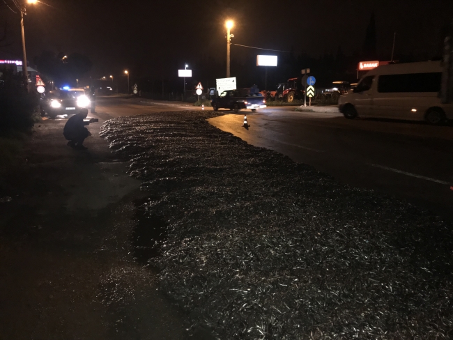 Kapağı açılan tır kasasındaki 15 ton hamsi yola döküldü