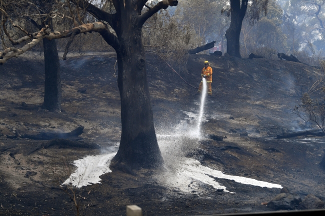 Fotoğraf: Reuters