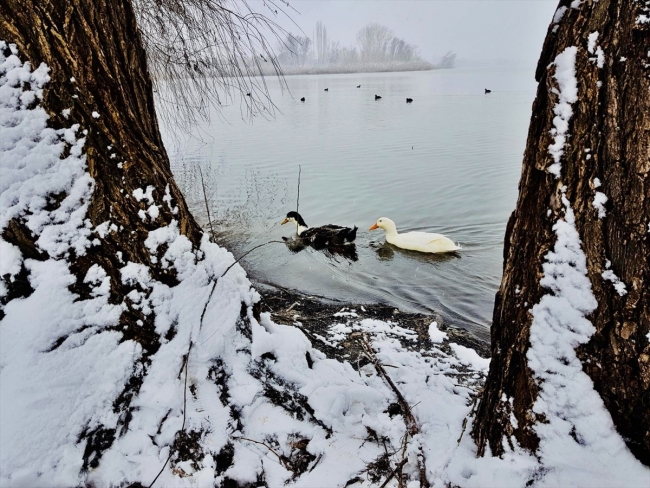 Gölbaşı Tabiat Parkı'nda kış güzelliği