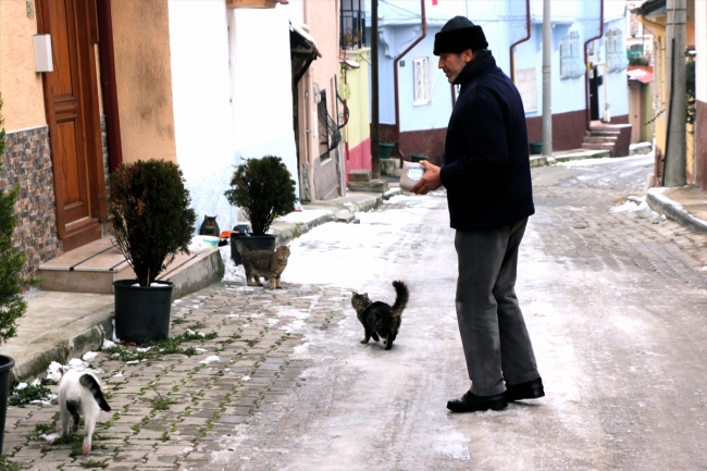 Odunpazarı'nın kedileri Aydın Işık'a emanet