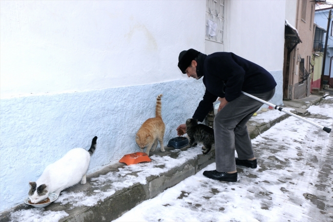 Odunpazarı'nın kedileri Aydın Işık'a emanet