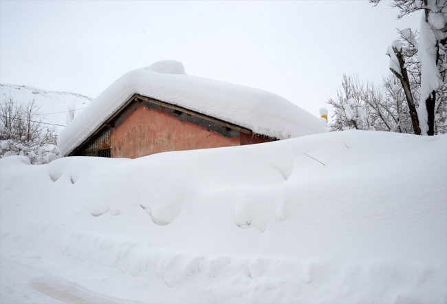 Bitlis'te tek katlı evler kara gömüldü