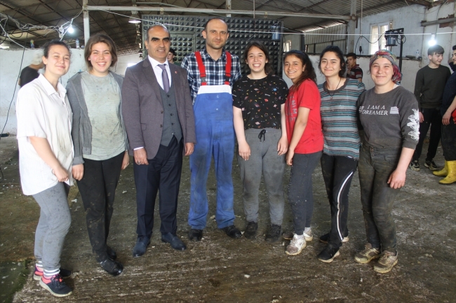 Koyun kırkarak harçlıklarını çıkarıyorlar