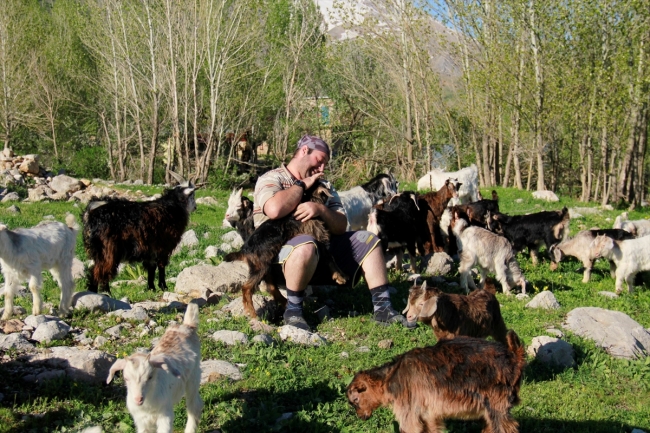 Tunceli'de oğlaklar meralarla buluştu