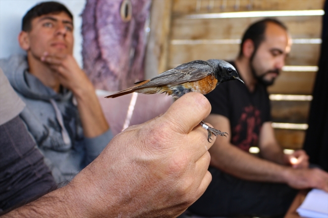 Öğrenciler kuş bilimini doğada öğreniyor