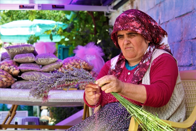 "Mor tarlalar" turizme farklı bir renk katıyor