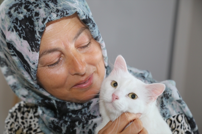 Felçli kediyi Hülya öğretmen hayata bağladı