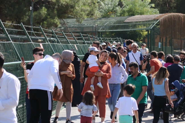 Gaziantep Hayvanat Bahçesi'nde bayram yoğunluğu