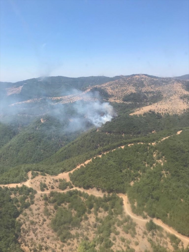 İzmir Karabağlar'da orman yangını