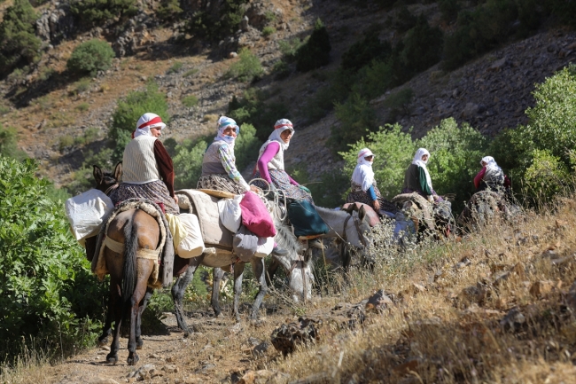 Besicilerin yaylalarda son günleri