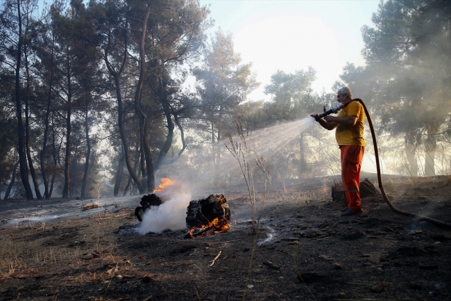 Antalya'da orman yangını