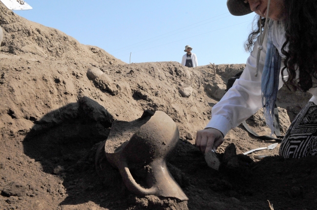 Norik Höyük'te 3 bin yıllık buğday bulundu