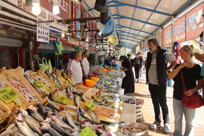 Balıkçıların yüzünü hamsi güldürdü