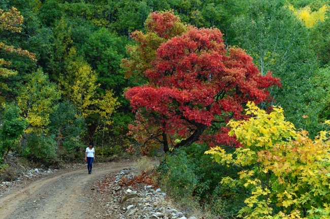 Fotoğraf: AA