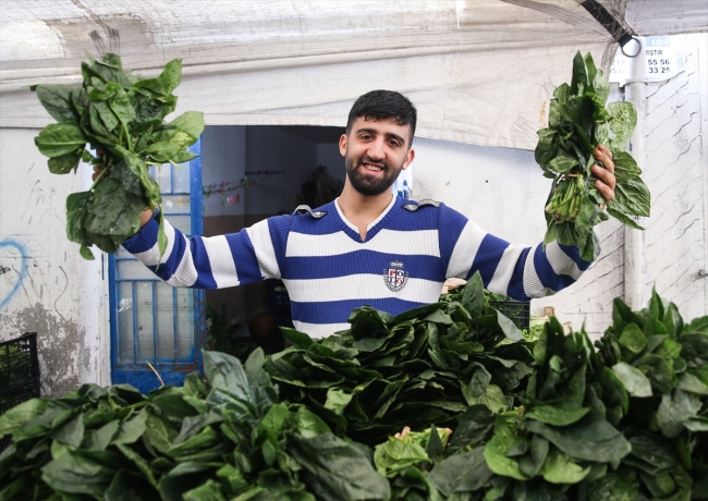 Zehirlenme vakaları üzerine ıspanak zararına bile satılmıyor