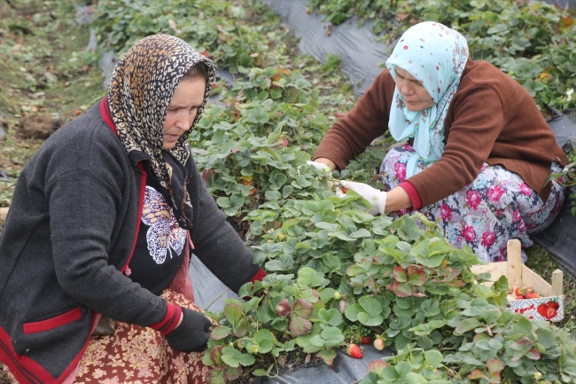 Fotoğraf: AA