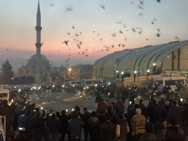 Şanlıurfa semalarına 'güvercin döküldü'