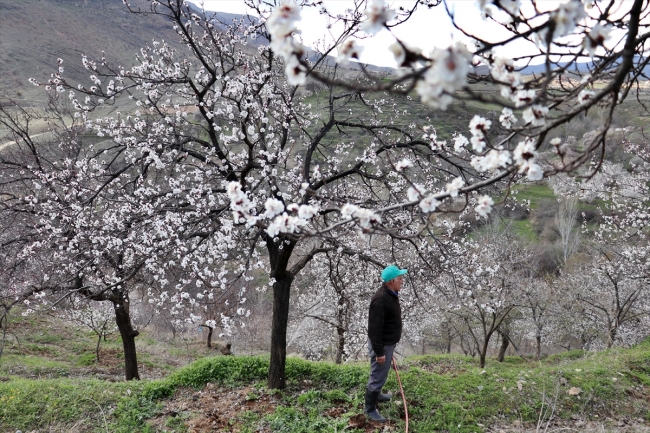 Fotoğraf: AA