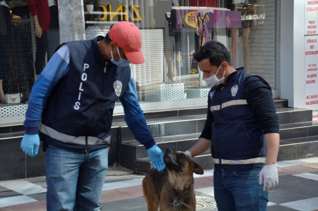 Aç ve susuz kalan köpeğin imdadına polisler yetişti