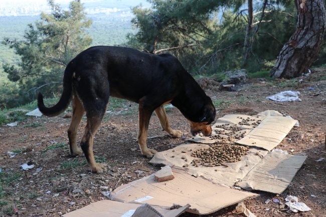 Fotoğraf: AA