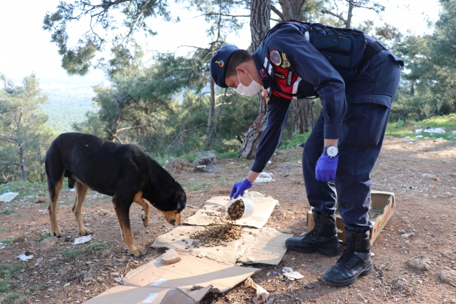 Fotoğraf: AA