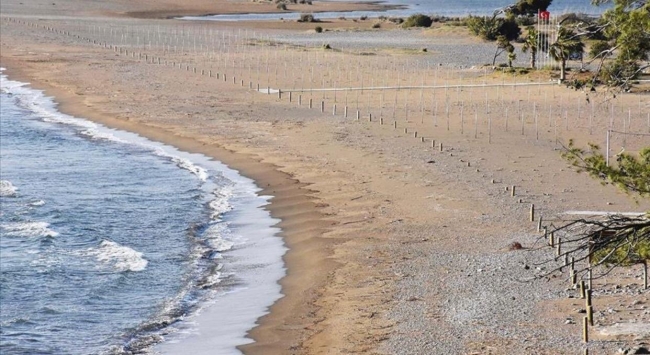 İztuzu'nda caretta carettaların yuvaları görüldü