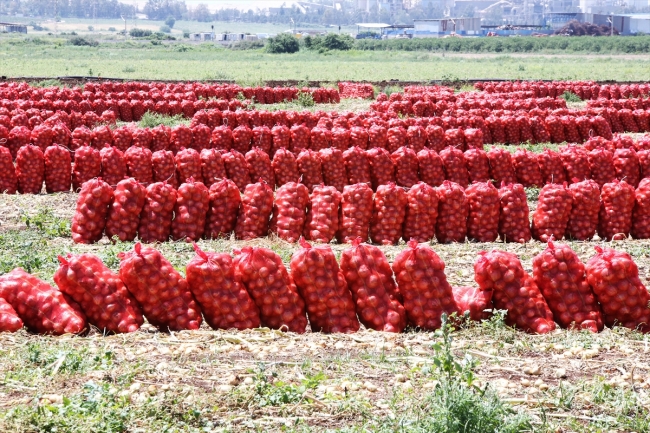 Fotoğraf: AA