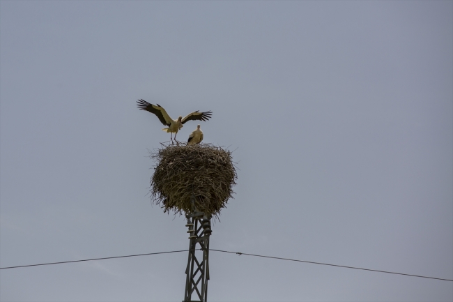 Fotoğraf: AA