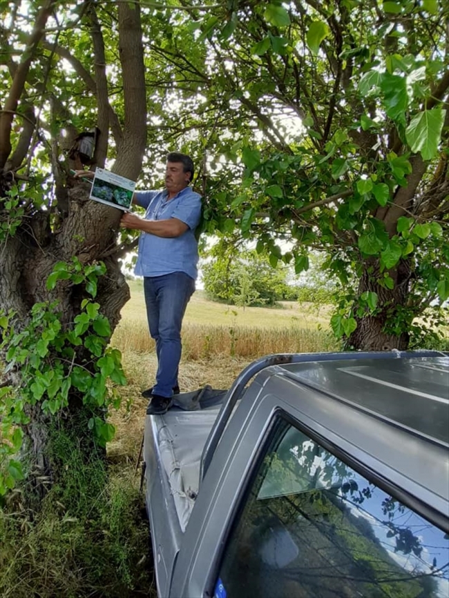 Doğa koruma ekipleri 'yer yediuyurları' için seferber oldu