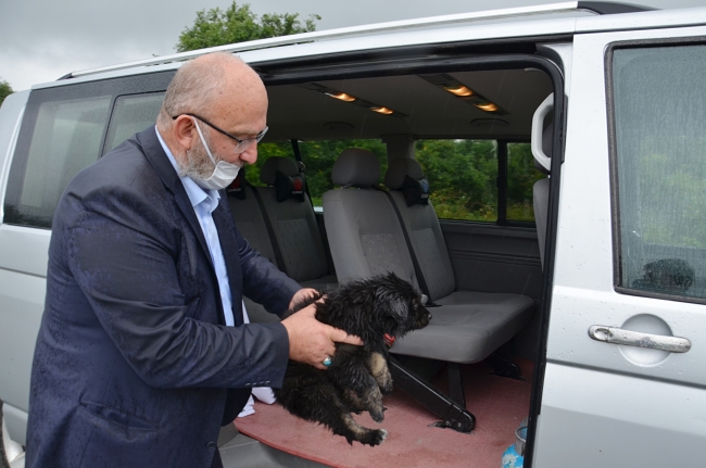 Mama dağıtım etkinliği yavru köpeğin hayatını değiştirdi