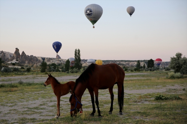 Fotoğraf: AA