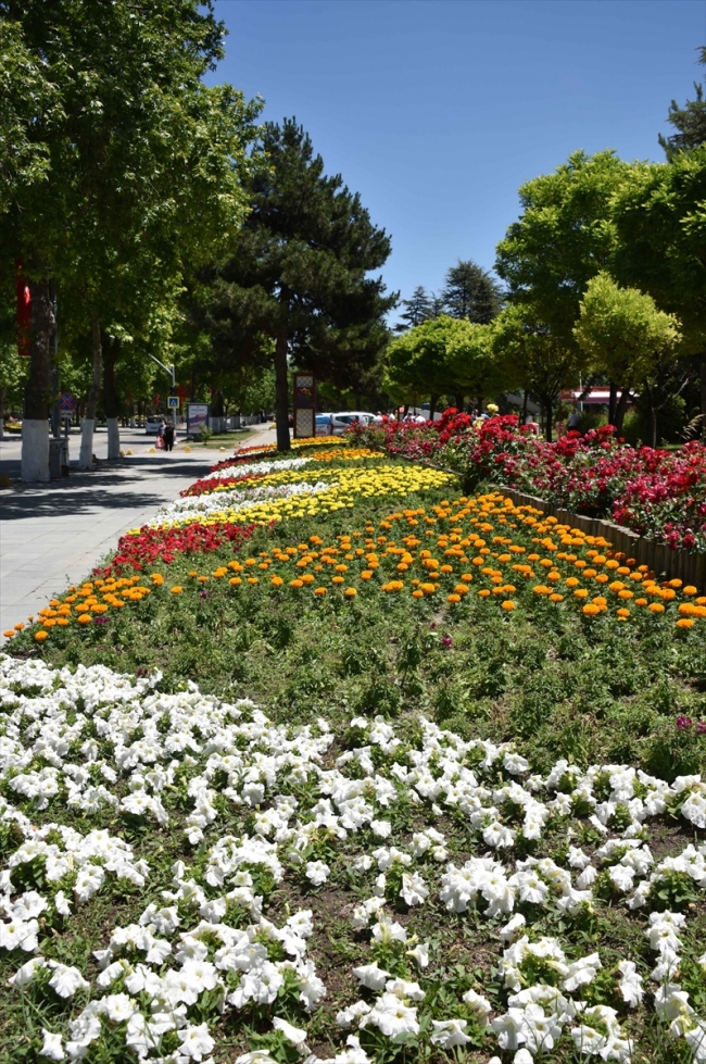 Malatya sokakları 150 bin çiçekle renklenecek