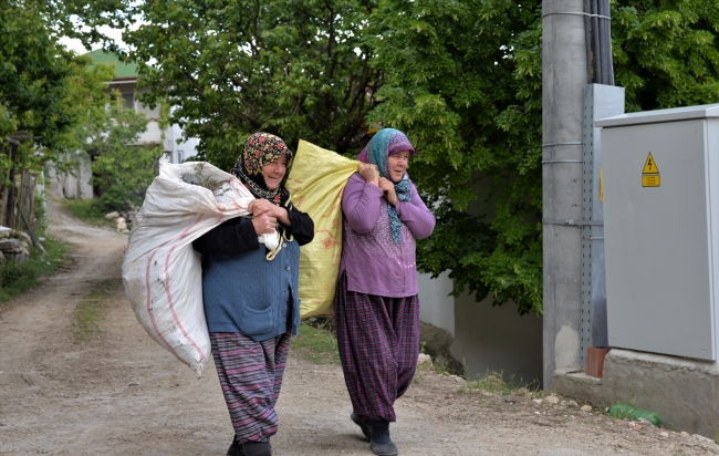 Yaylalardan topladıkları kekikleri işleyerek ekonomiye kazandırıyorlar