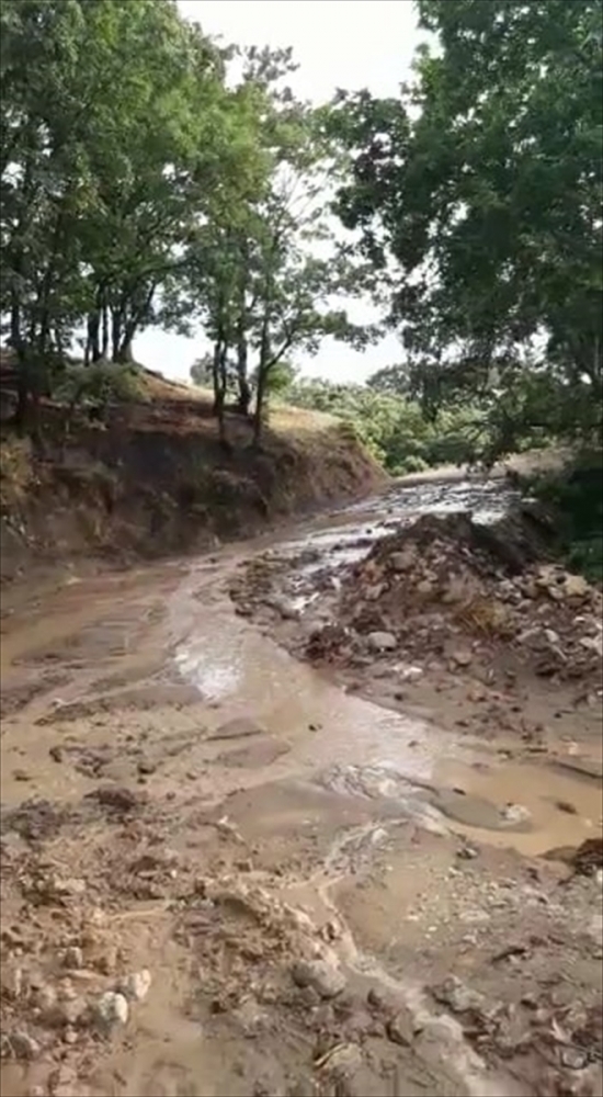 Balıkesir'de dolu ve sağanak ekili alanlara zarar verdi