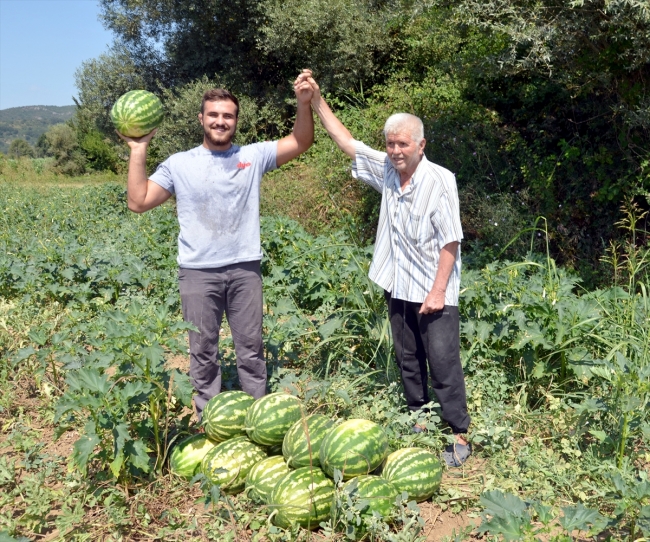 Fotoğraf: AA