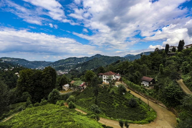 Bakan Kasapoğlu, Rize'nin doğal güzelliklerini fotoğrafladı