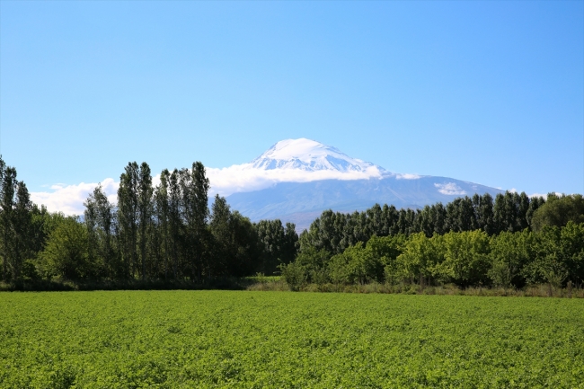 Fotoğraf: AA