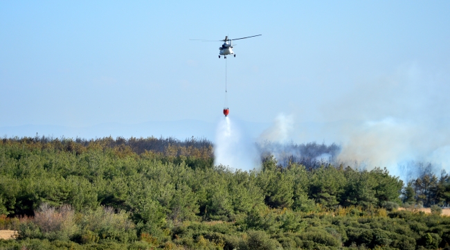 Çanakkale'de orman yangını