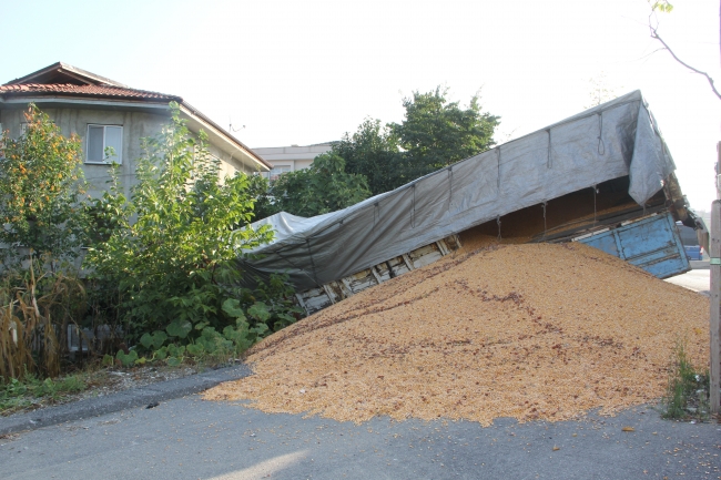 Sakarya'da mısır yüklü kamyon evin bahçesine girdi: 1 yaralı