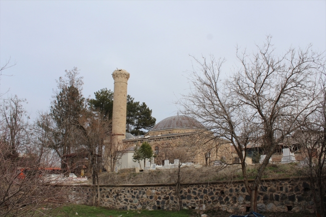 Leylekler göç etti, tarihi camide restorasyon yeniden başladı