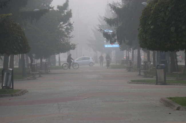 Sakarya, Bolu ve Düzce'de yoğun sis etkili oldu